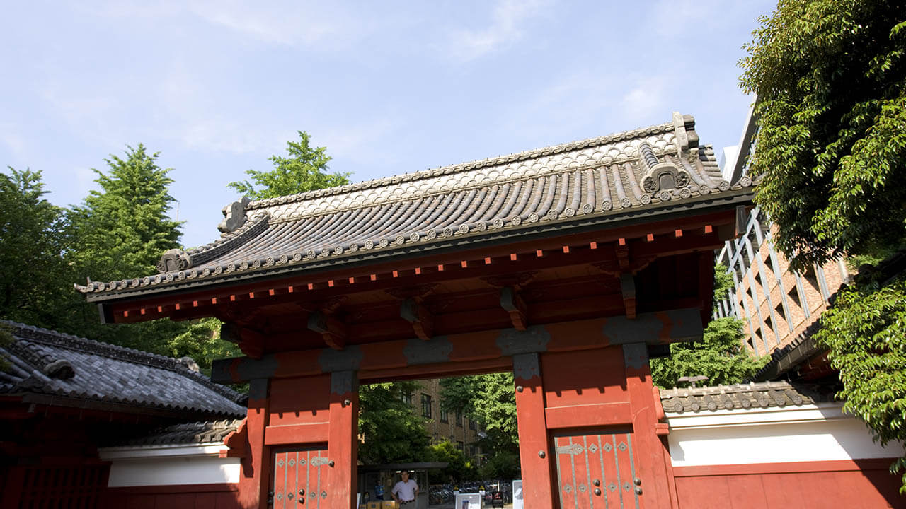 赤本 早稲田大学 社会科学部 2001年～2019年 19年分